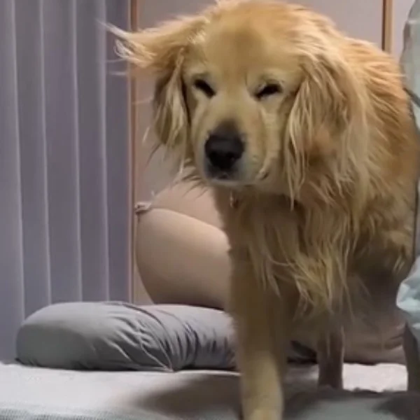 たまにいるF狙いの方へ？