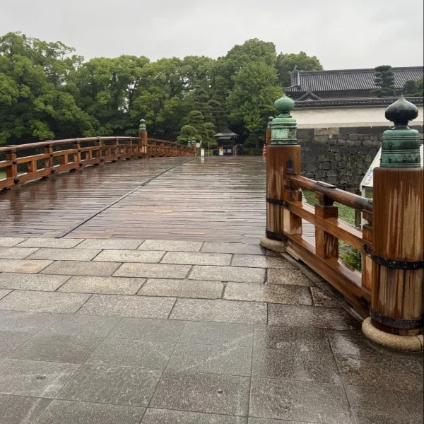 おやすみなさい✨