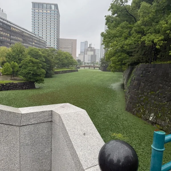 少し写真整理してました