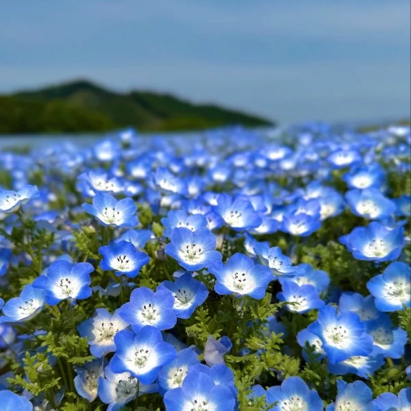 こんばんは✨️