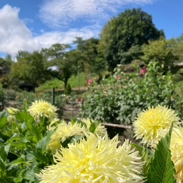 退勤しました✨明日も♥️