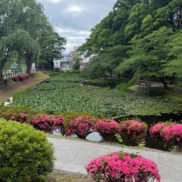 出勤しました