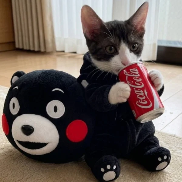 出勤しました✨️