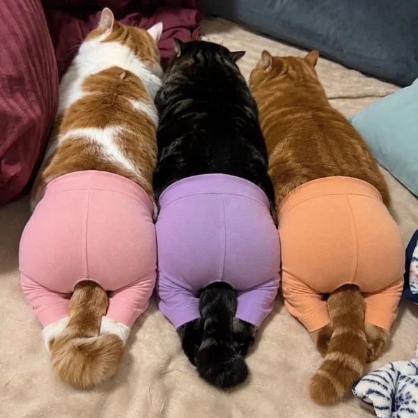 指名ありがとう♡