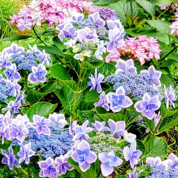 退勤しました✨️ありがとう♡