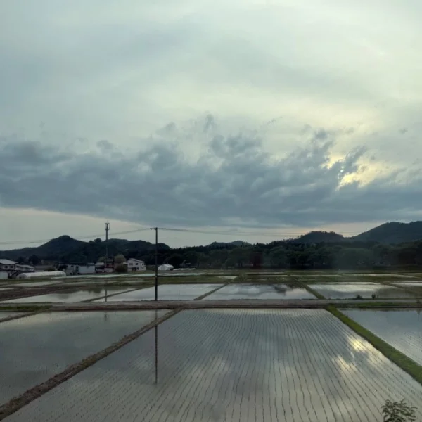 出勤中です✨