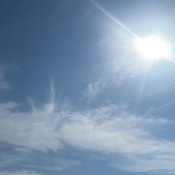 青森と岩手からもありがとう♡