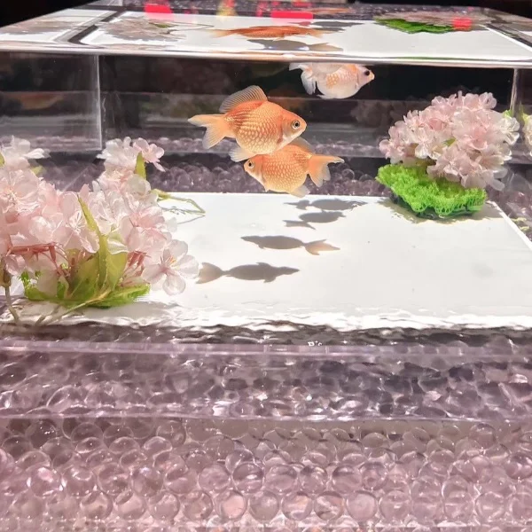⸜( ´ ꒳ ` )⸝♡︎