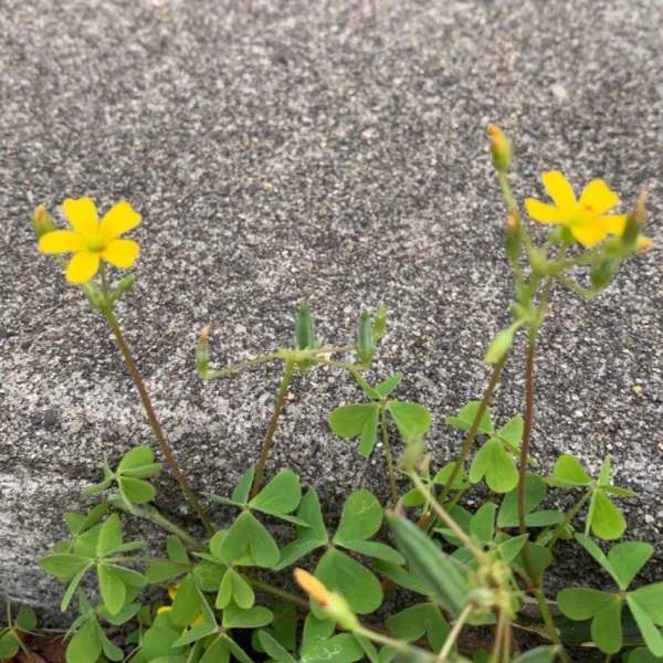 6がつも♡