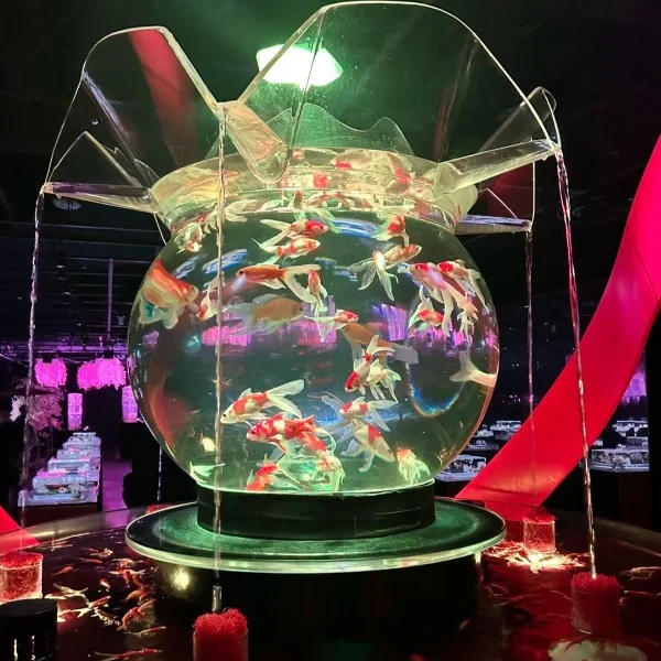 やっほ🫥