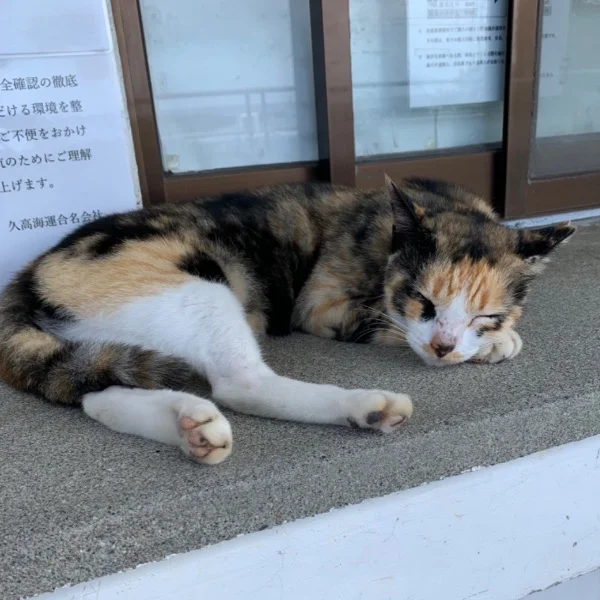 雨の日の始まり…