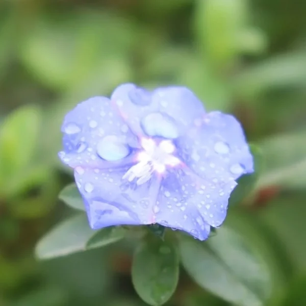 お疲れ様です💭