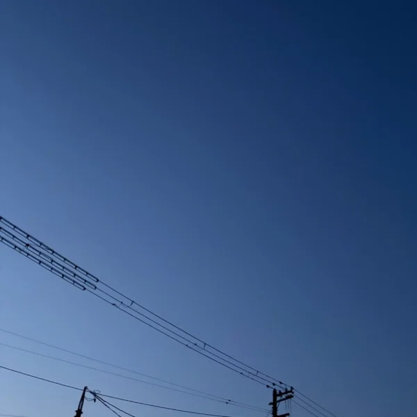 お礼ʕʘ‿ʘʔ