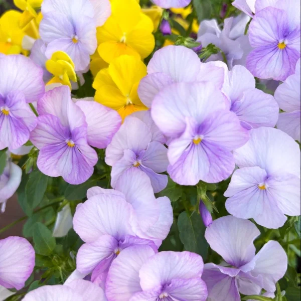 もう6月ですね💭