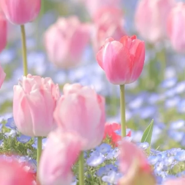 溶けないでね💭