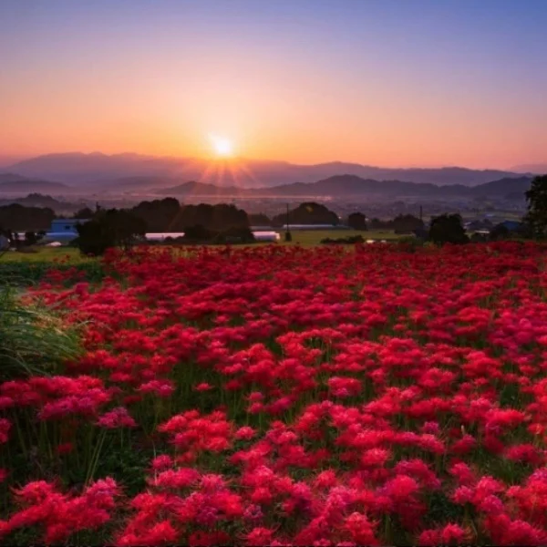 週末