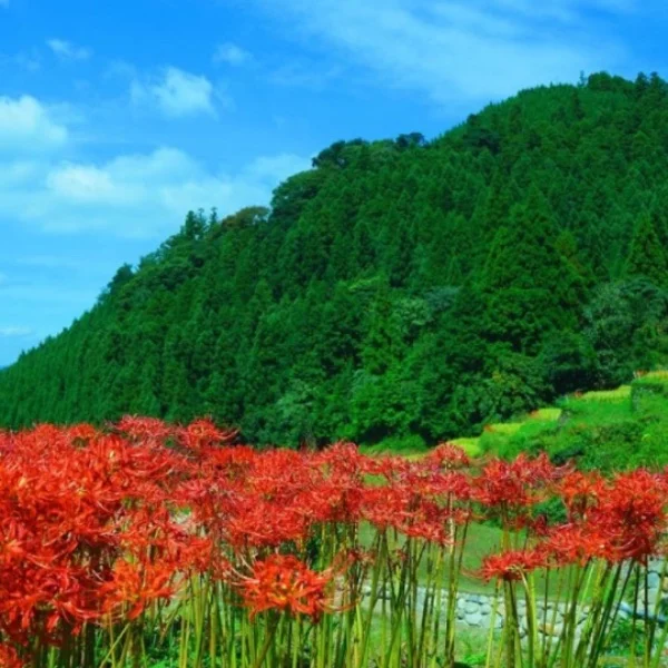 出勤