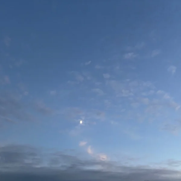 週末
