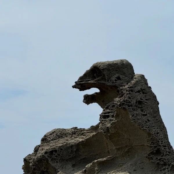 ゴジラ