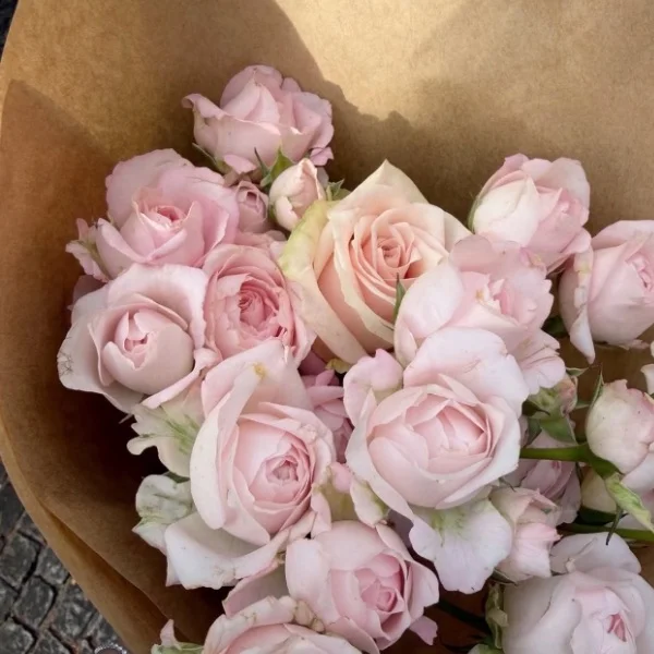 ❤︎