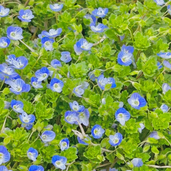今日もたくさん