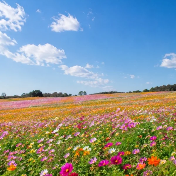 珍しく土日出勤🌼