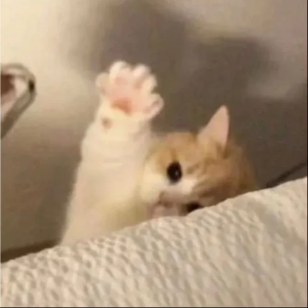 よろしくね〜