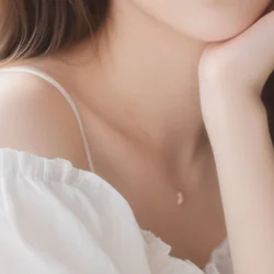 シークレットサービス