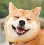 採用担当の山下さん