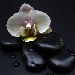 お店のコースその1