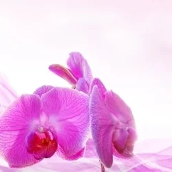 お店のコースその3