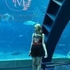 あずさ