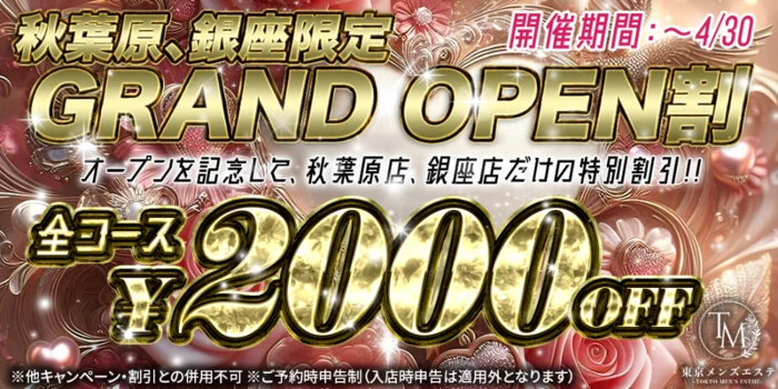 東京メンズエステ-TokyoMensEsthe-秋葉原ルーム