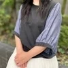 夏海