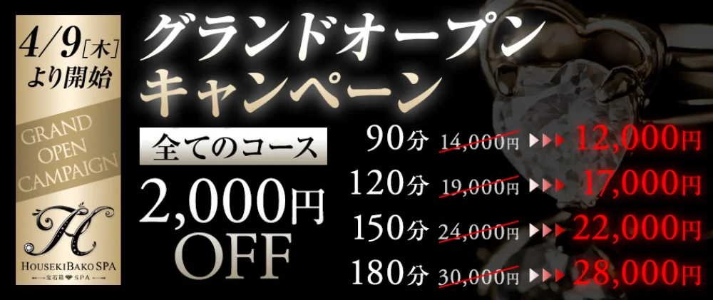 HOUSEKIBAKO SPAのカバー画像