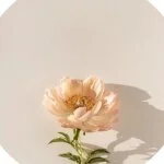 採用担当の近藤　真琴さん