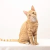 完全自由出勤になります！のサムネイル