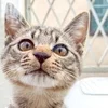 よくある質問にご回答します♪のサムネイル