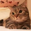 セラピスト第一主義です♪なんでもご相談下さい♪のサムネイル