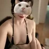 妃咲るか