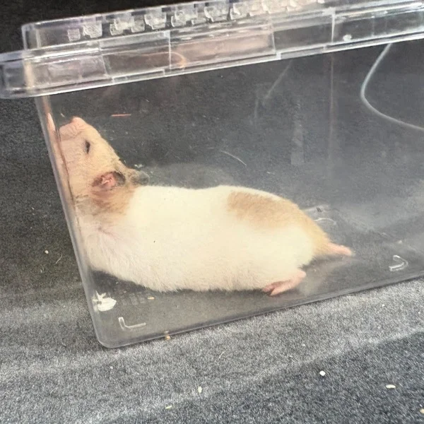 本日のお礼💕