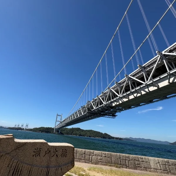 おはようございます☀️｡°