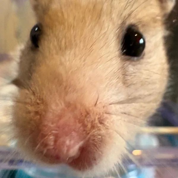 本日お誕生日のお客様💕
