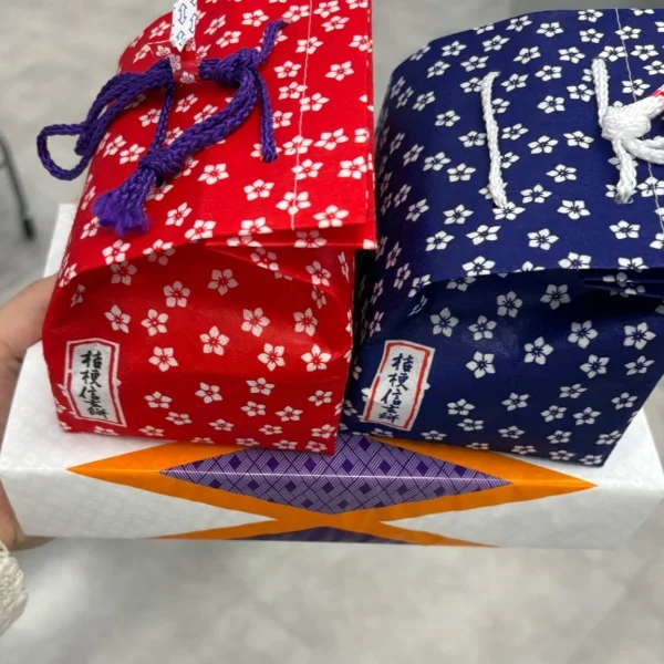 岡山へ帰ってきました😆☝️