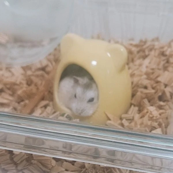 可愛すぎる🫶🏻︎‪💕︎︎