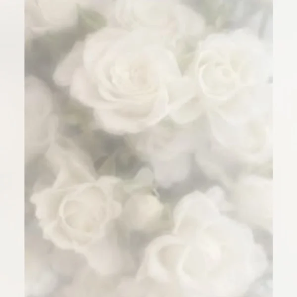 10:00〜🎀