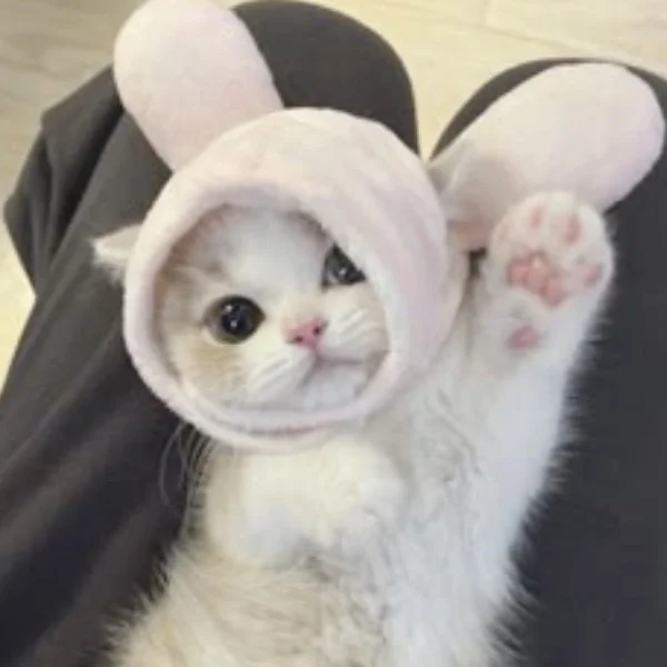 癒された？