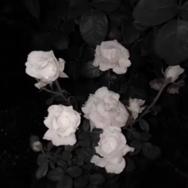また今度