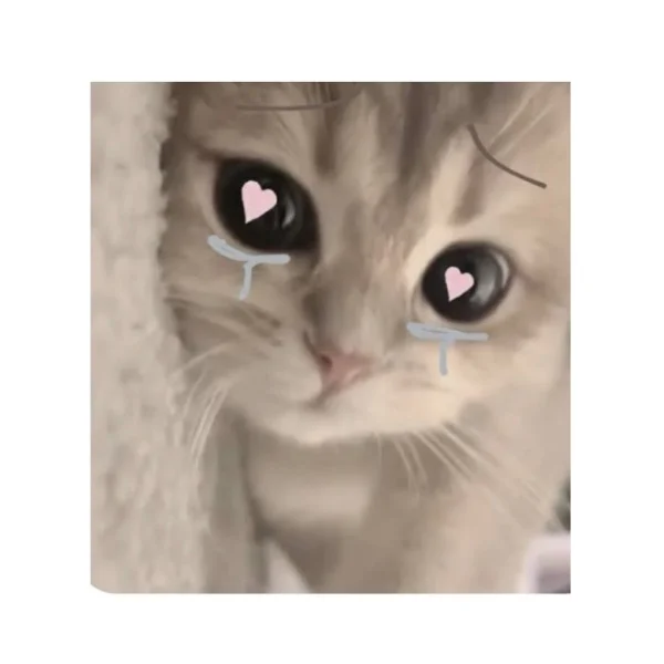 🎀