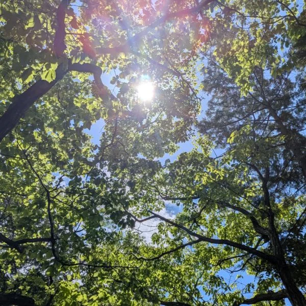 本日20:30から出勤です🍀